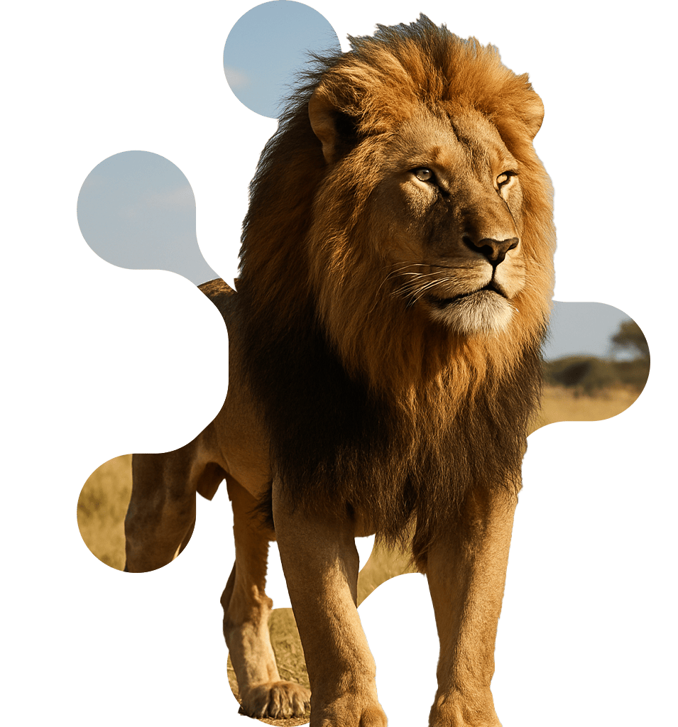 Cursos de inteligencia artificial online